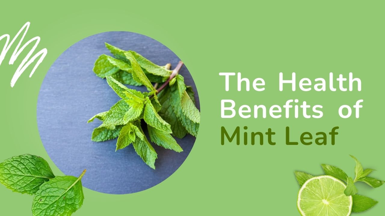 Unlocking the benefits of mint in summer season